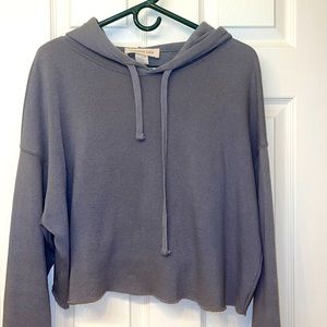 OBSESSIVE LOVE LARGE GRAY CROP TOP HOODIE